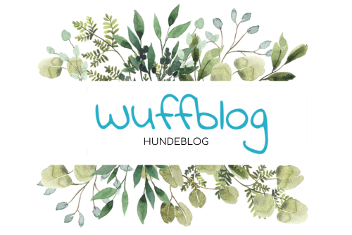 Wuffblog | Hundeblog